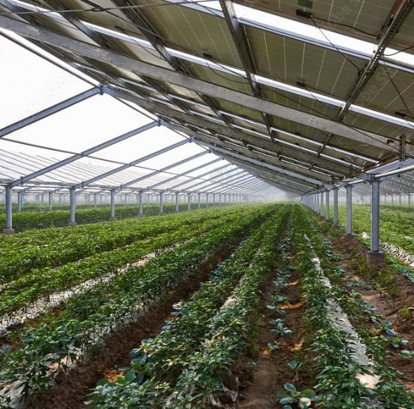 Strombauer Photovoltaik Landwirtschaft | Ihr kompetenter Partner in NRW.
